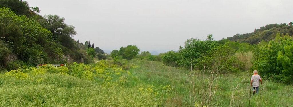 PL Tom nature